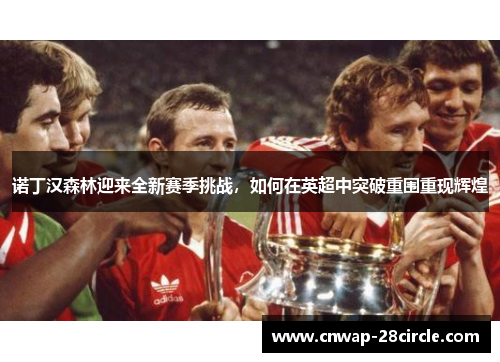 诺丁汉森林迎来全新赛季挑战，如何在英超中突破重围重现辉煌